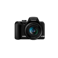 Sony DSC H300 - 20.1 Megapixel