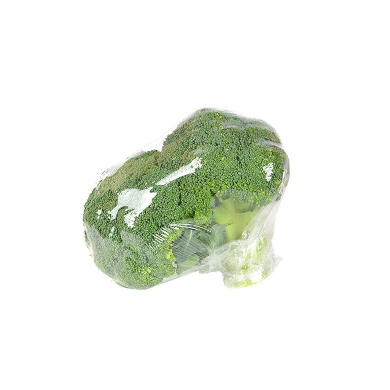 Broccoli isolated