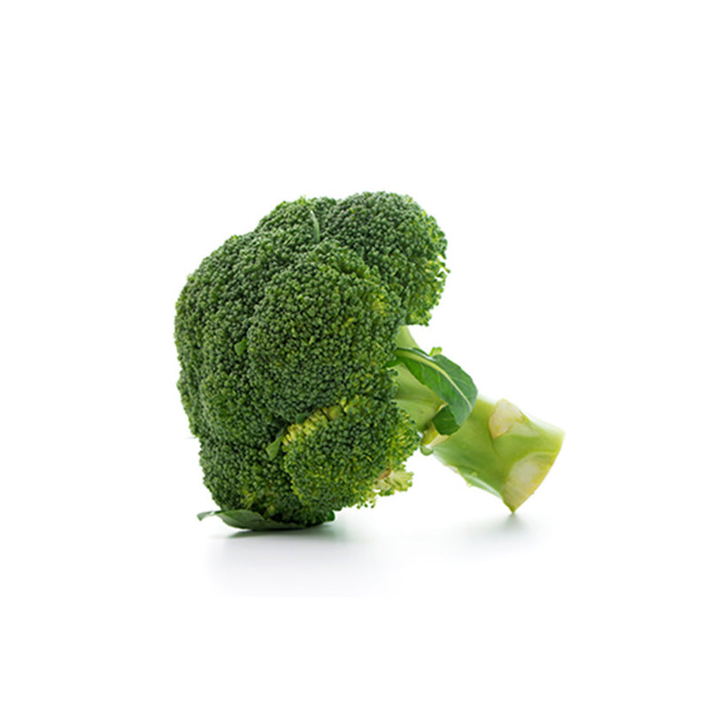 Broccoli isolated
