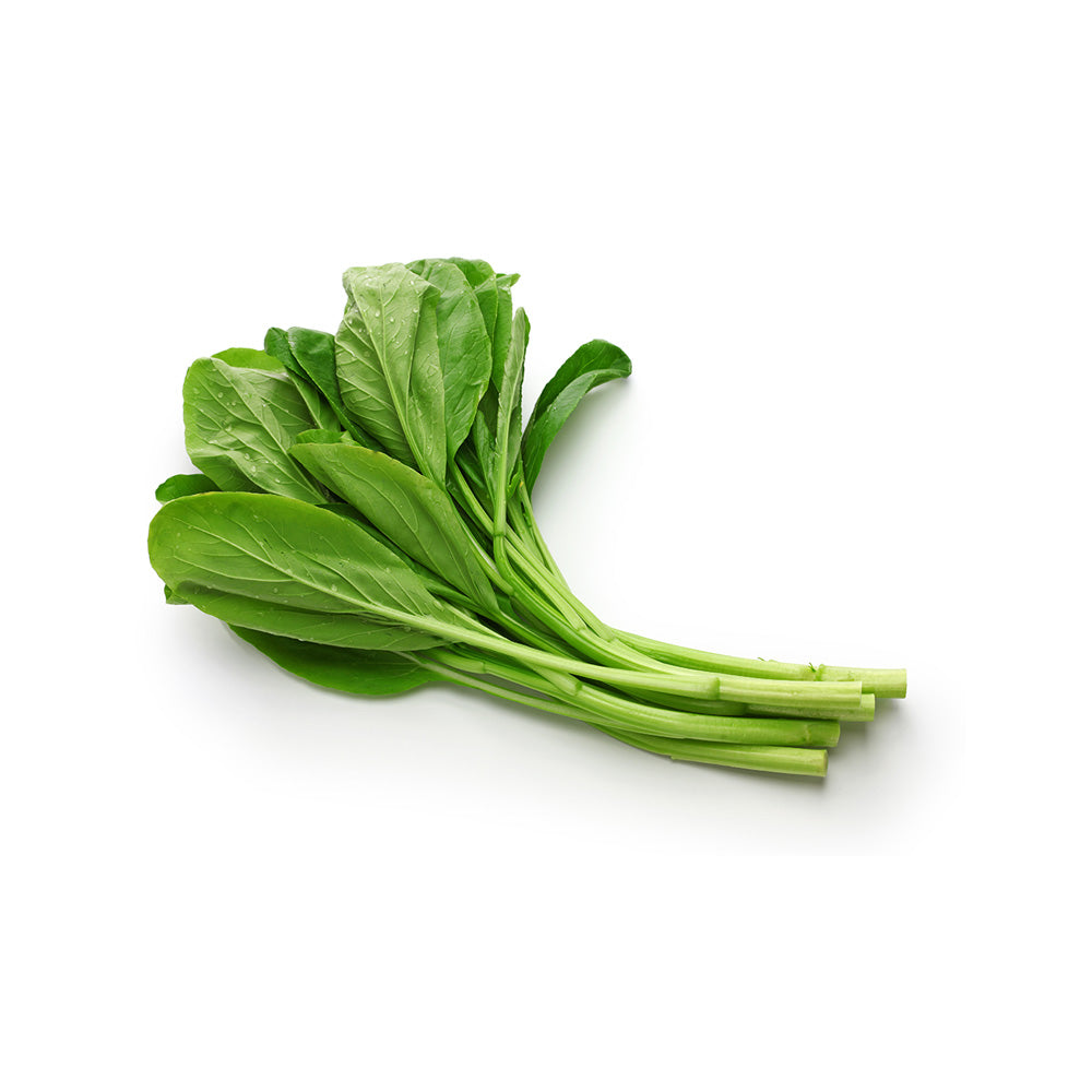Choy sum vegetable