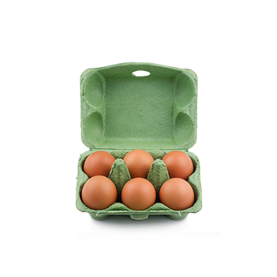 Eggs isolated
