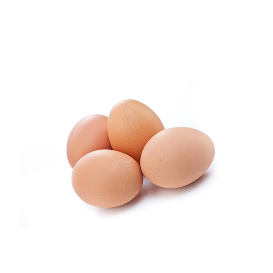 Eggs isolated