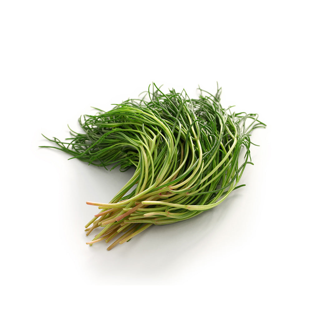 Fresh agretti