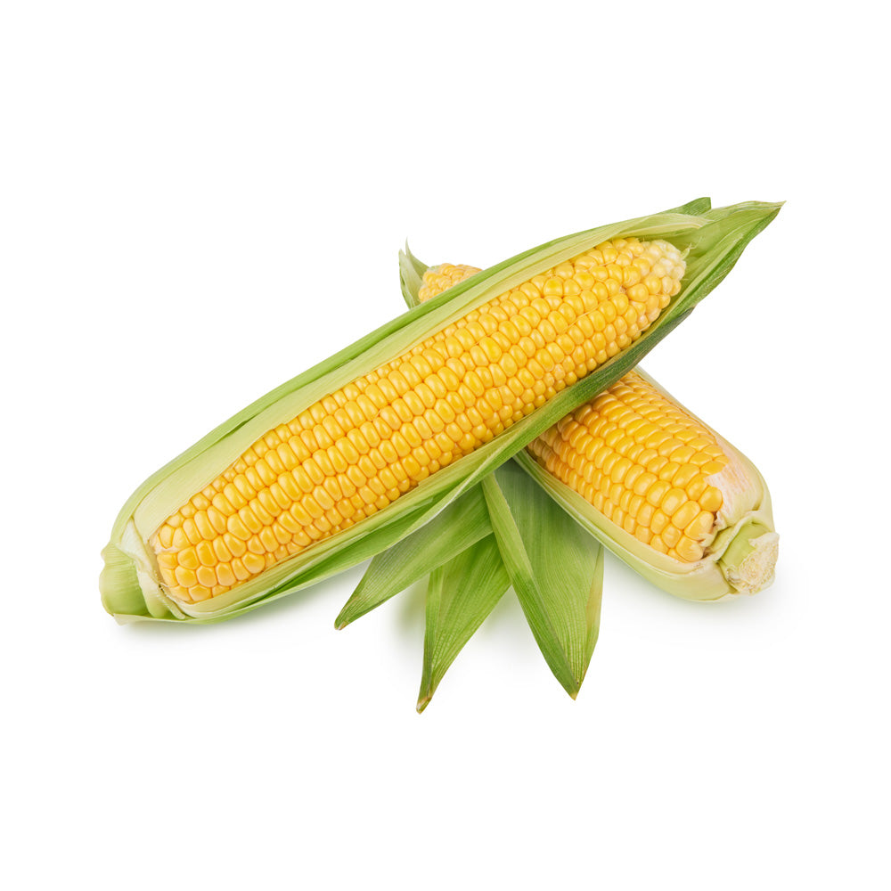 Fresh corn