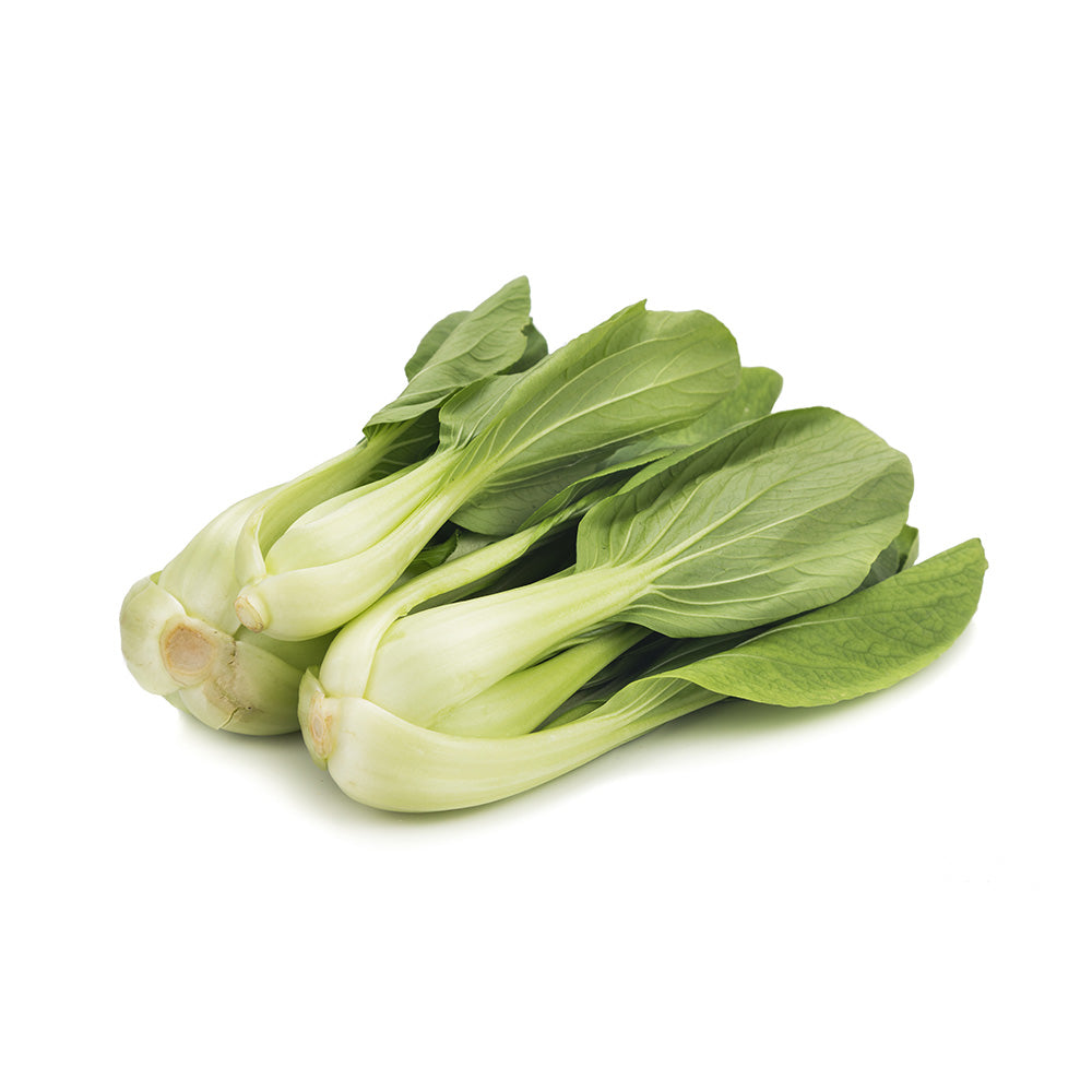 Leafy bok choy vegetable