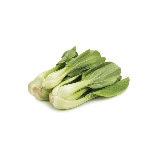 Leafy bok choy vegetable