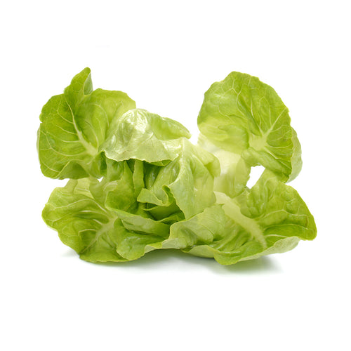 Fresh lettuce salad