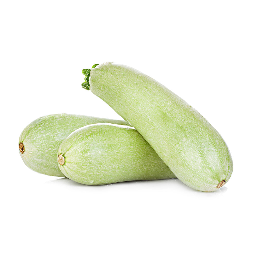 Fresh vegetable marrow isolated