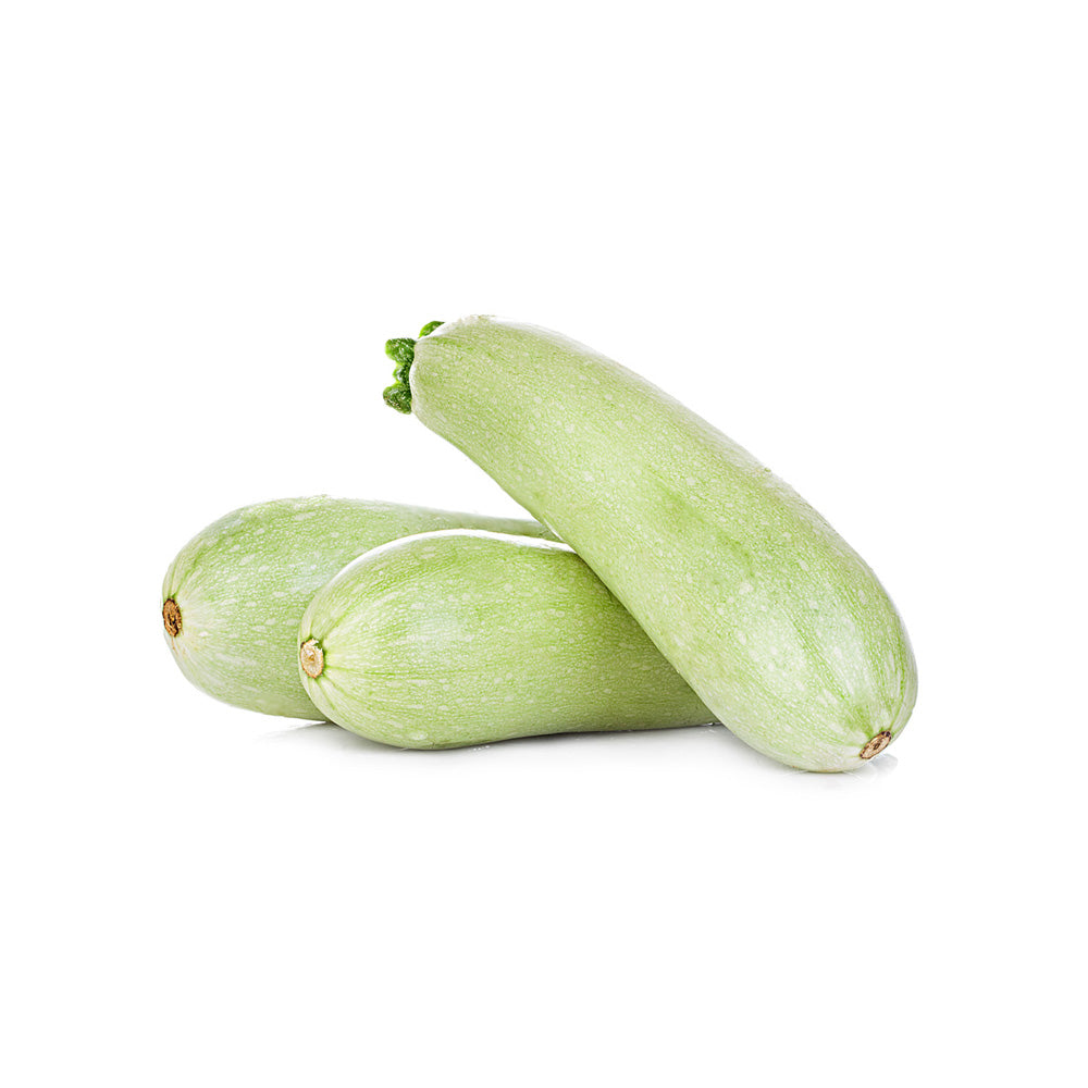 Fresh vegetable marrow isolated