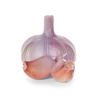 Garlic isolated