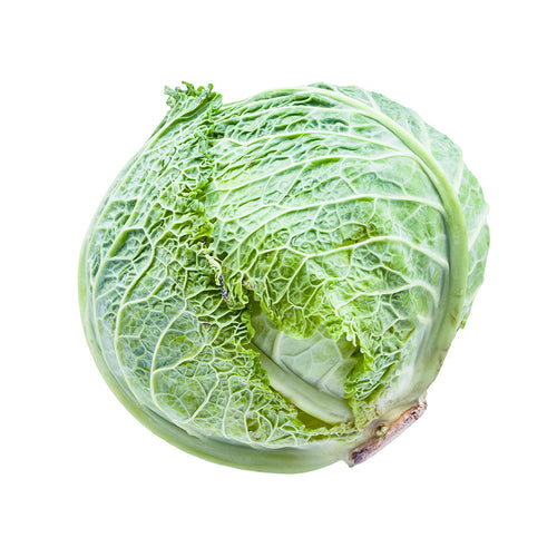 Fresh green cabbage