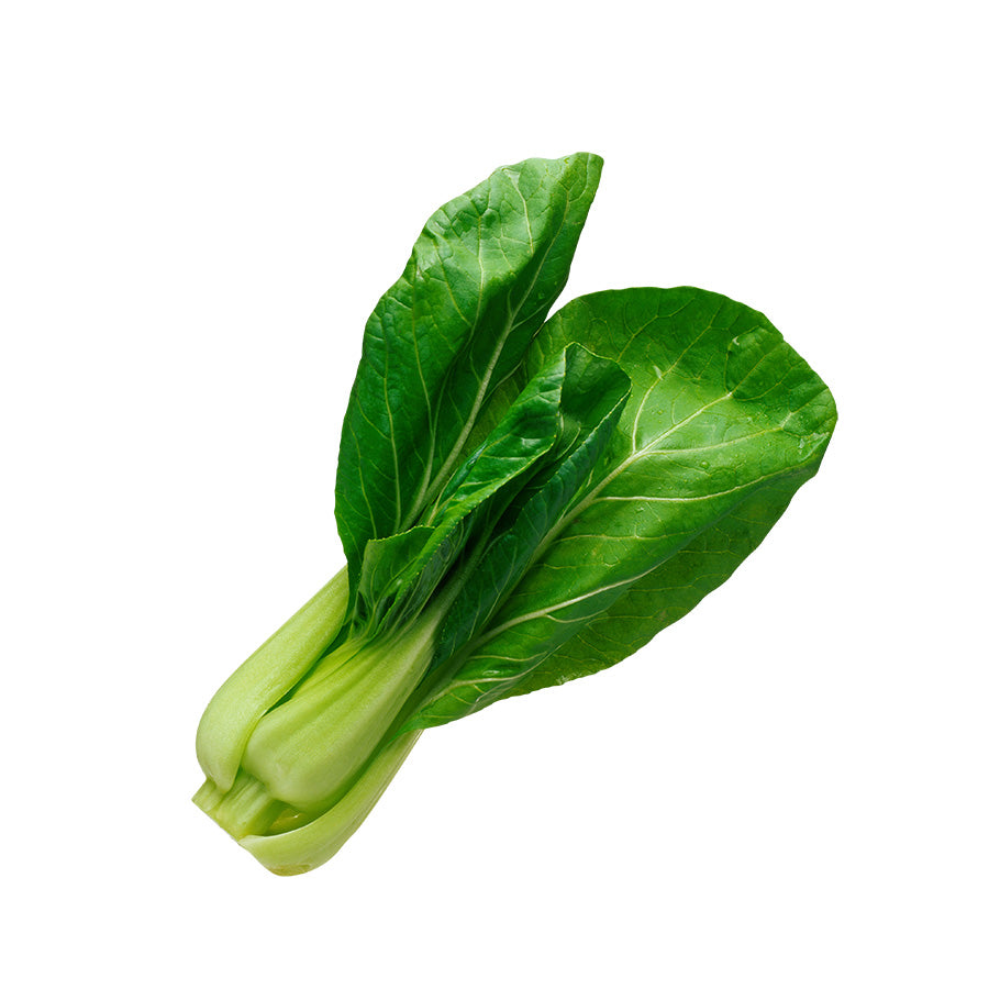Leafy bok choy vegetable